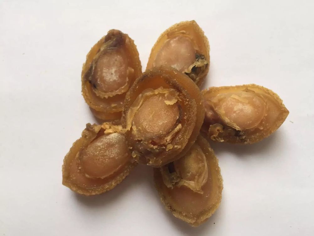 Dried Abalone Small variation