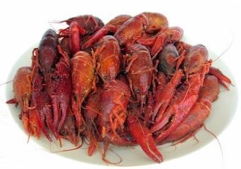 Dried Crawfish wholesale bulk dry sea food
