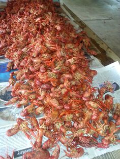 Dried Crawfish Tail Meat Only variation