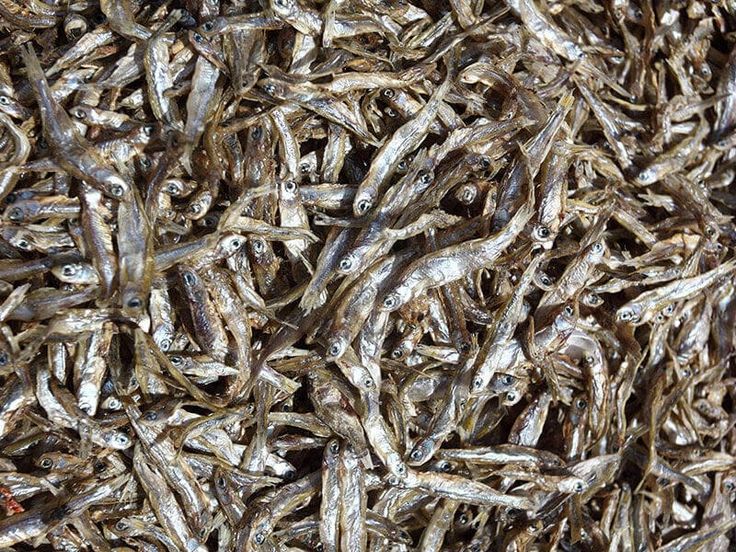 Dried Goby & Small Mixed Dried Fish Mixed Grade variation