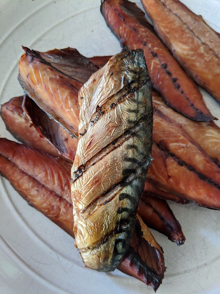 Dried Mackerel wholesale bulk dry sea food