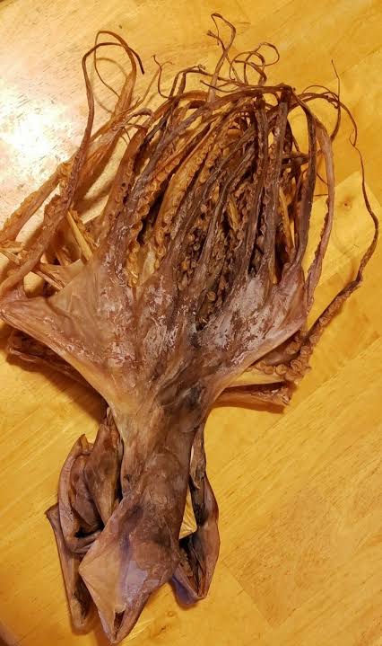 Dried Octopus wholesale bulk dry sea food