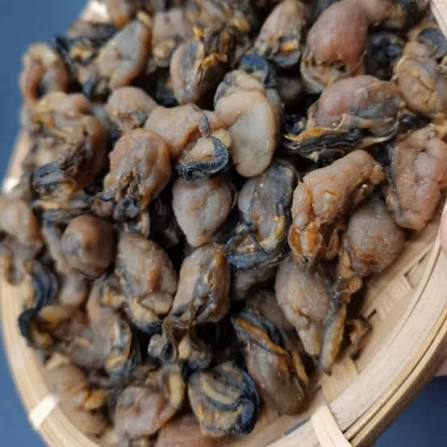 Dried Oysters wholesale bulk dry sea food