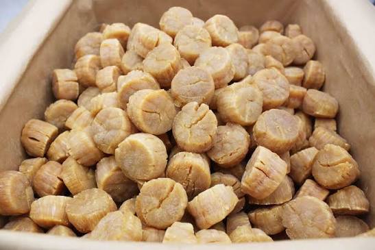 Dried Scallops (Conpoy) Medium variation