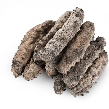 Dried Sea Cucumber Medium variation