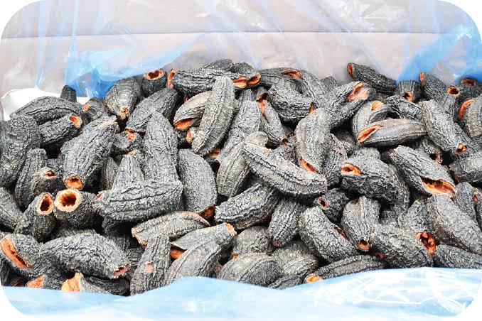 Dried Sea Cucumber Small variation