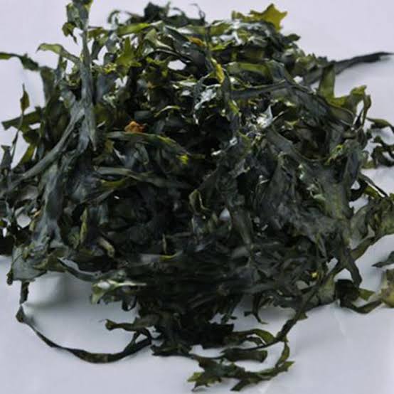Dried Seaweed & Kelp Whole Leaf variation
