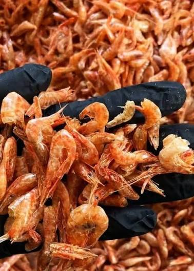 Large grade premium dried shrimp