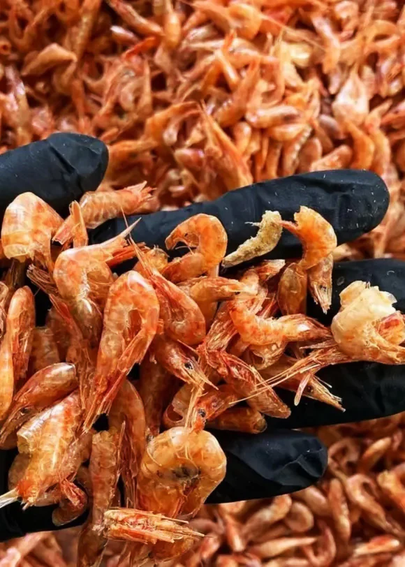 Dried Shrimp (Premium/Large) wholesale bulk dry sea food