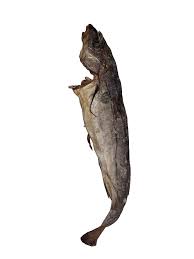 Dried Whole Fish (Assorted) Haddock-Style variation